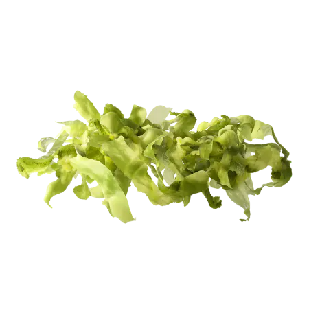 Imagen de ingrediente Lechuga