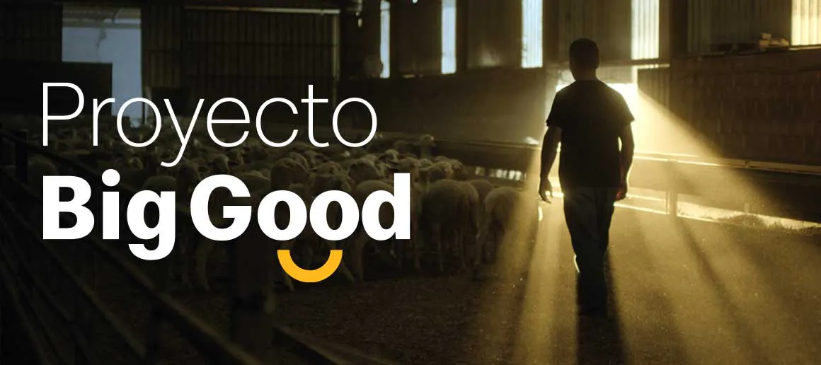 Una persona caminando por el campo y siendo iluminado por un rayo de luz, a la izquierda se ve el texto Proyecto Big Good